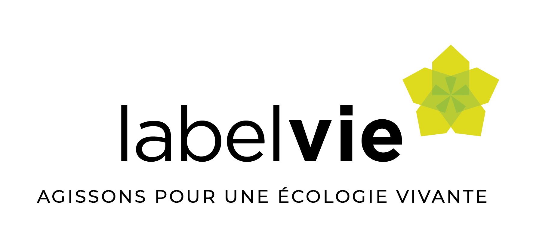 Logo HELLOCSE